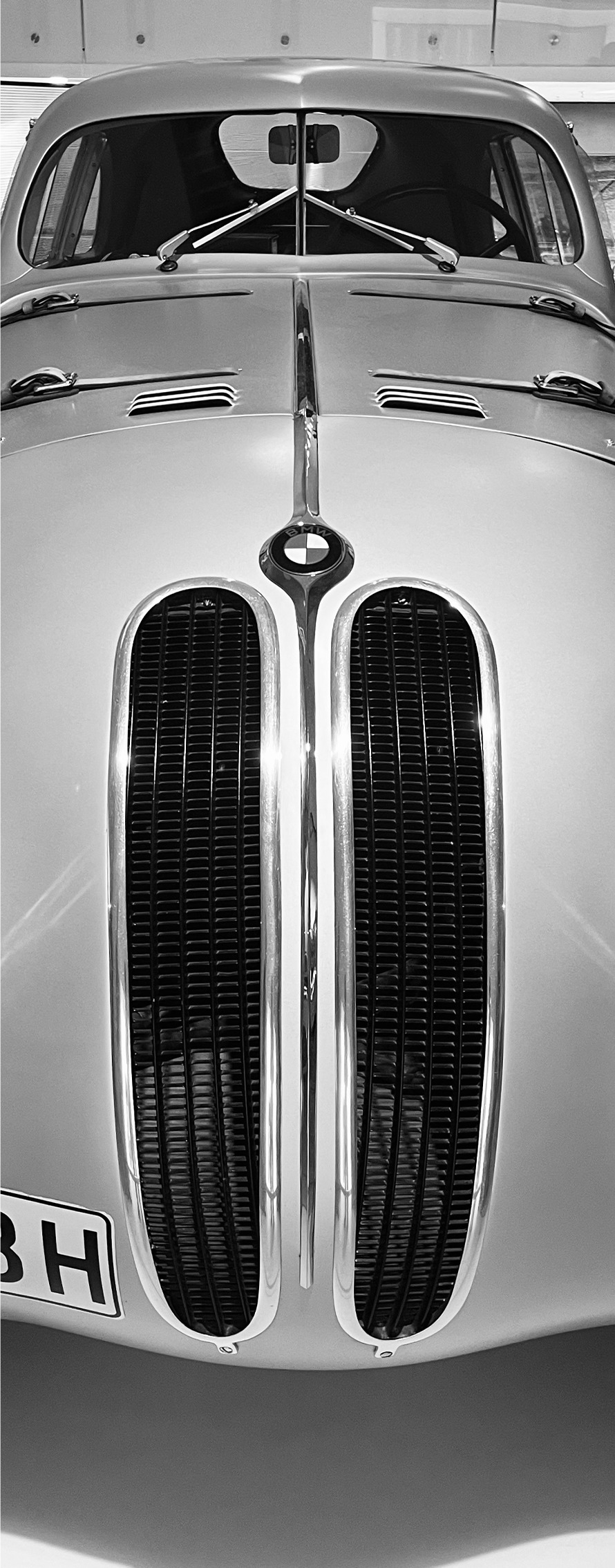 Close detail of a classic BMW kidney grille and hood
