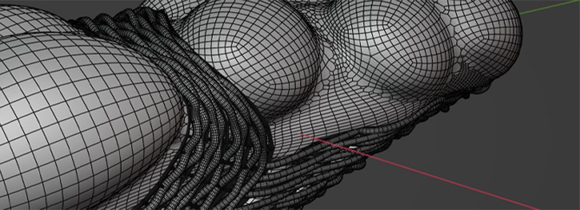 Wireframe render detail of the sole and lattice geometry